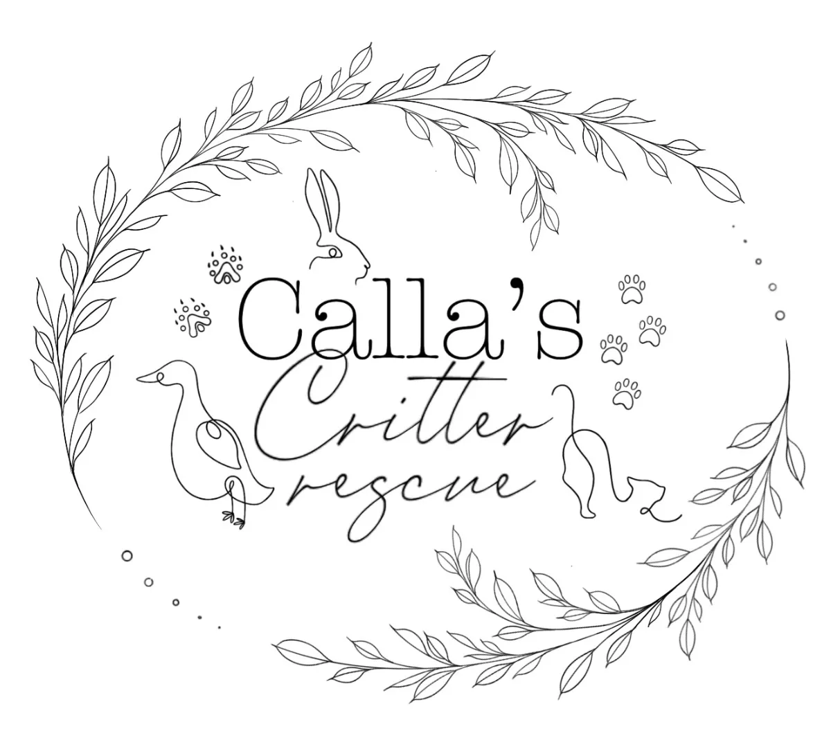 Calla’s Critter Rescue Kitties
